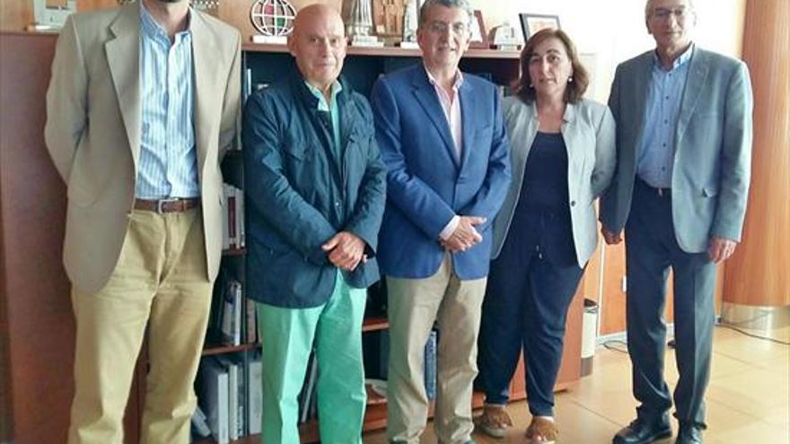 Aragón crea un grupo para analizar los tratamientos contra el cáncer