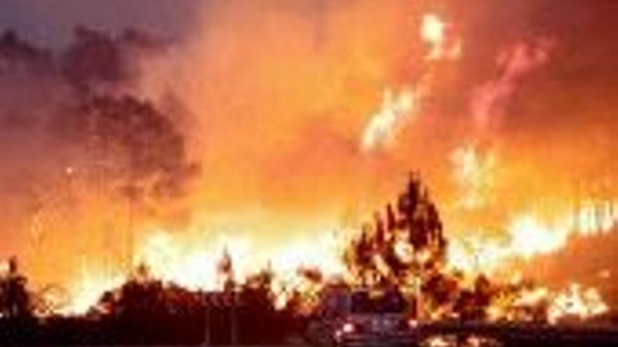 La mitad de la región presenta un riesgo alto de sufrir incendios