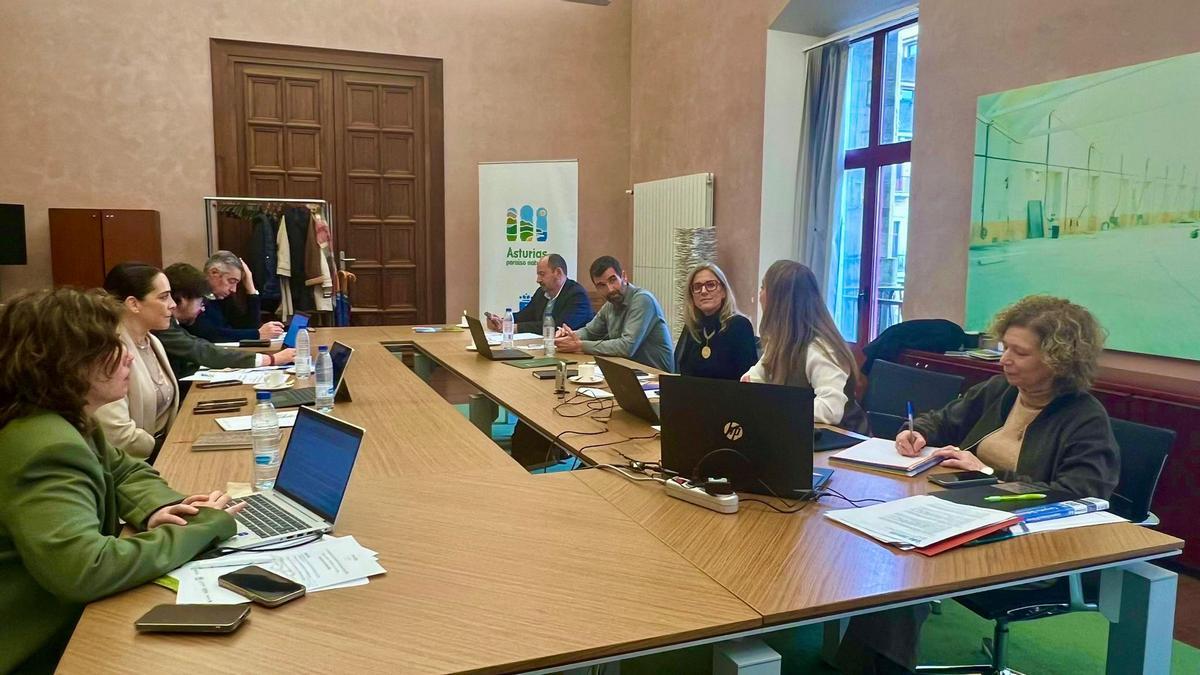 Reunión de los representantes de España Verde en Gijón.