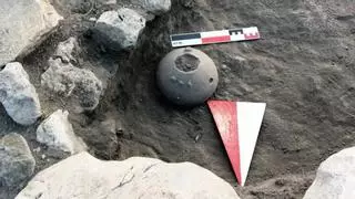 Descubren en una vasija hitita de 4.000 años las semillas de una flor que hoy solo crece en un rincón de Ankara