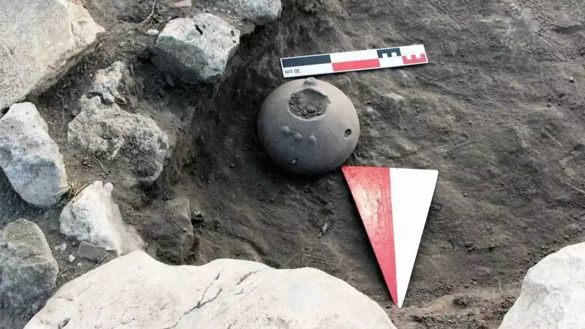 Descubren en una vasija hitita de 4.000 años las semillas de una flor que hoy solo crece en un rincón de Ankara