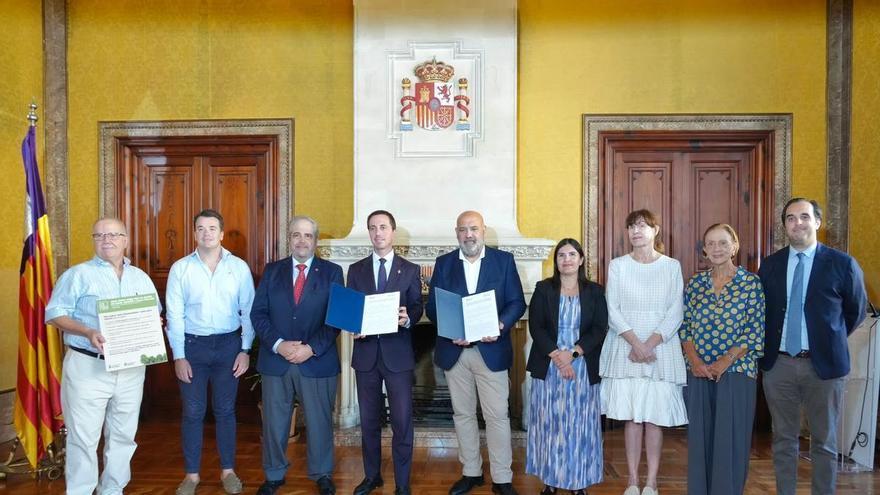 Cala Major ganará una nueva zona verde en un solar de 1.200 metros cuadrados