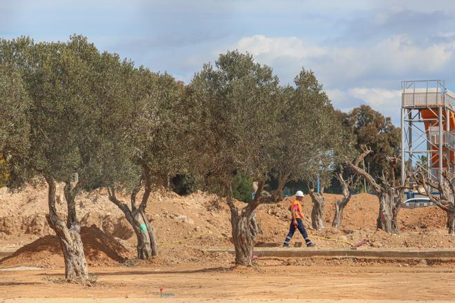 Así van las Obras del parque La Siesta de la urbanización de San Luís en Torrevieja