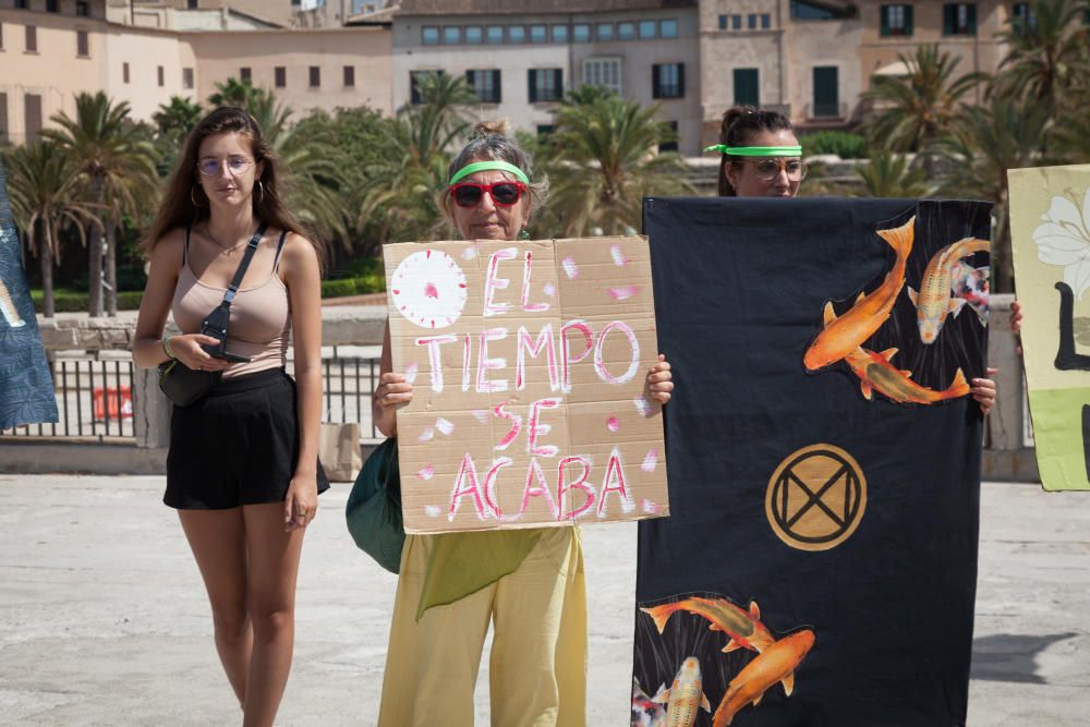 Corte de carretera en Palma contra el cambio climático