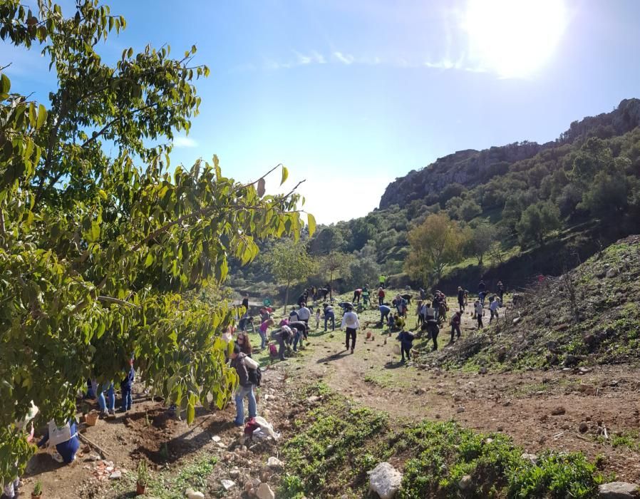 Acción para bombardear con semillas la zona afectada por el incendio de este verano en Casares.