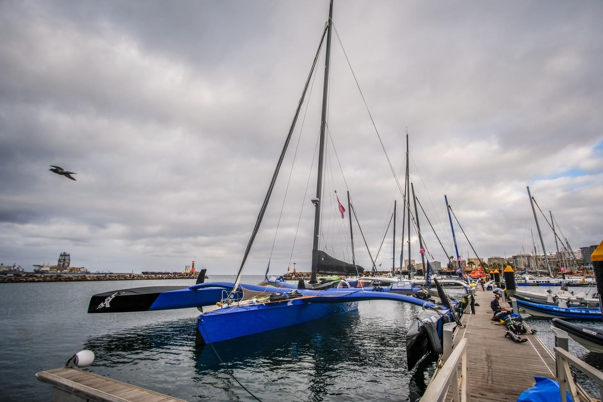 Trimaranes en el muelle deportivo