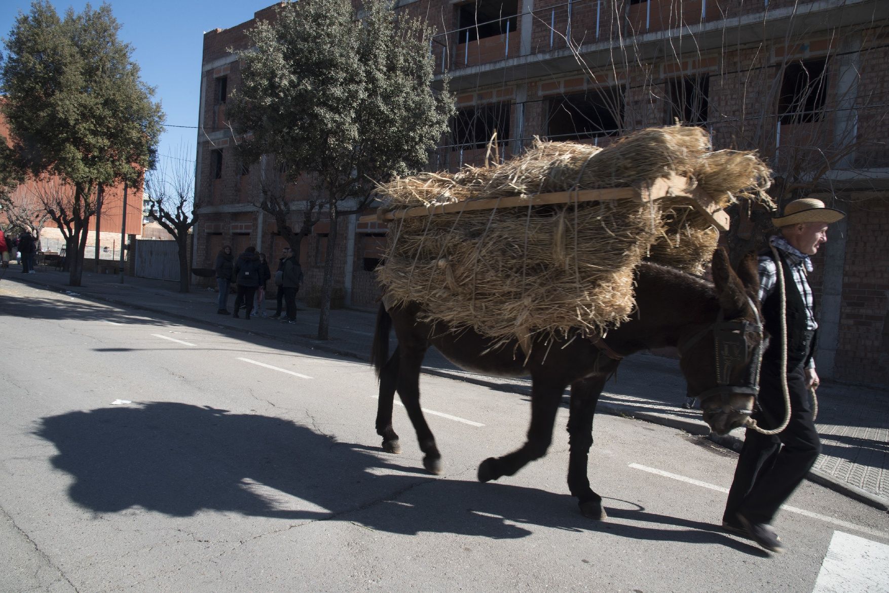 Les millors imatges dels Traginers de Balsareny