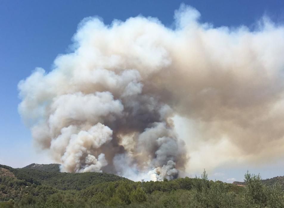 Incendio forestal en Artana