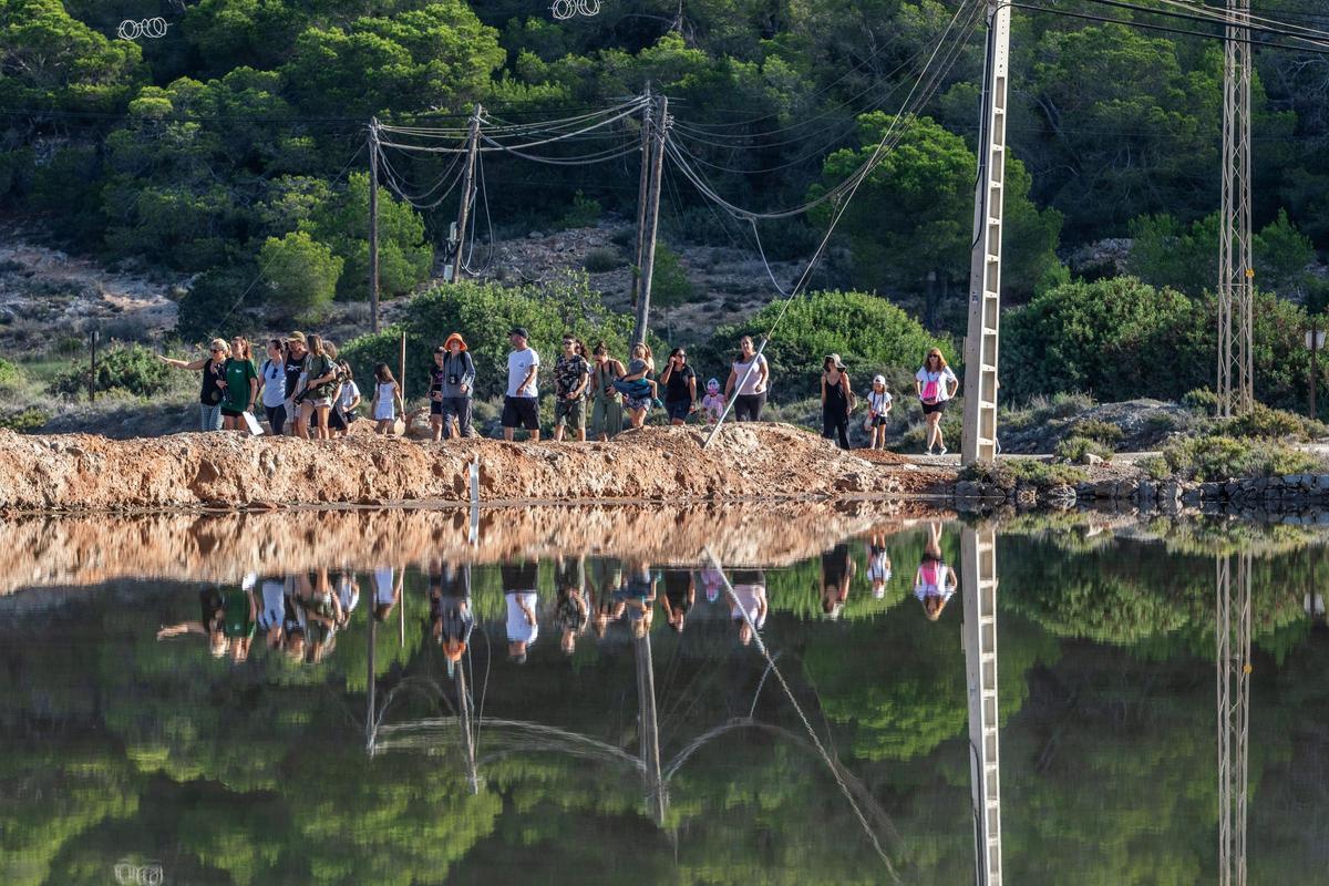 Galería: Así es una visita guiada al Parc Natural de ses Salines