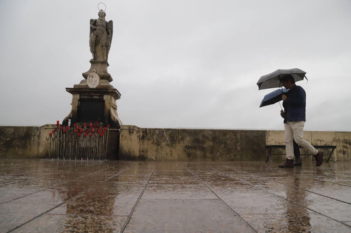 El temporal de lluvia y viento, en imágenes