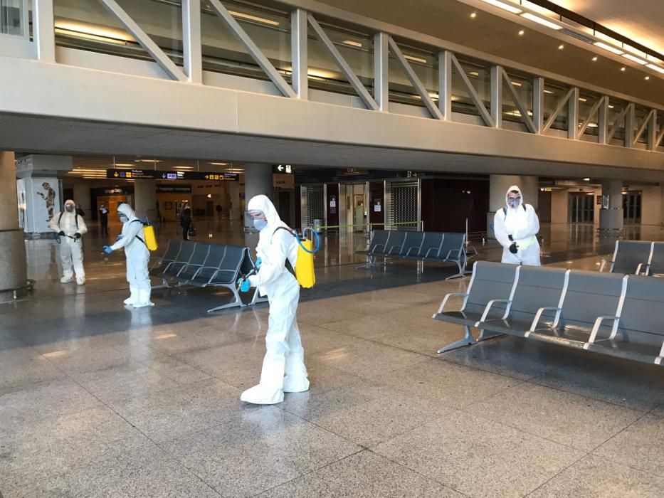 Efectivos de la UME en labores de desinfectación en el Aeropuerto de Málaga.