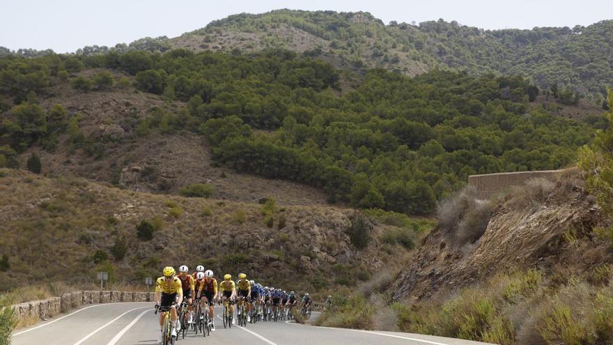 Segui in diretta la tappa 12 della Vuelta a España 2026