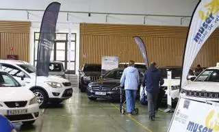 La Feria de Ocasión de Pozoblanco consigue un récord de exposiciones
