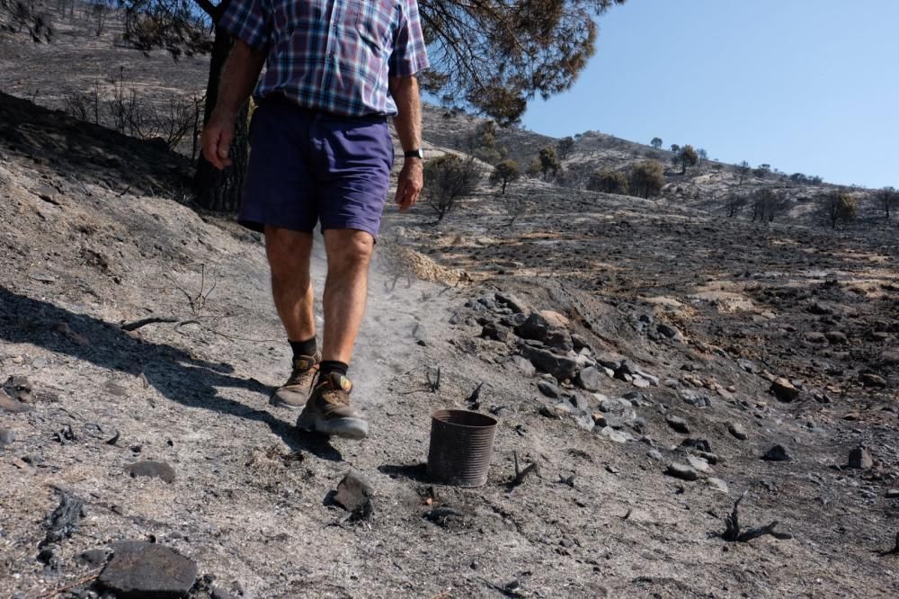 Así ha quedado la zona tras el incendio.