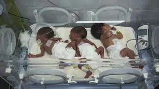 El Ministerio de Sanidad de Gaza avisa del riesgo inminente de muerte de cientos de bebés por la escasez total de leche