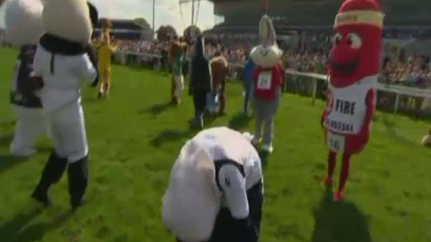 Las mascotas se enfrentan en la tradicional carrera anual