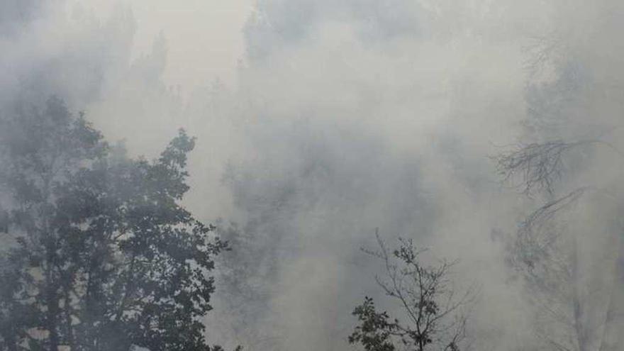 El incendio declarado en Castro de Beiro en agosto de 2015. // B. L.