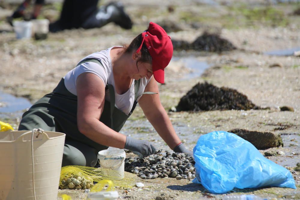 Marisqueo en Arousa