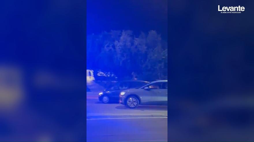 La Policía Local de Gandia regula el tráfico... de los jabalíes