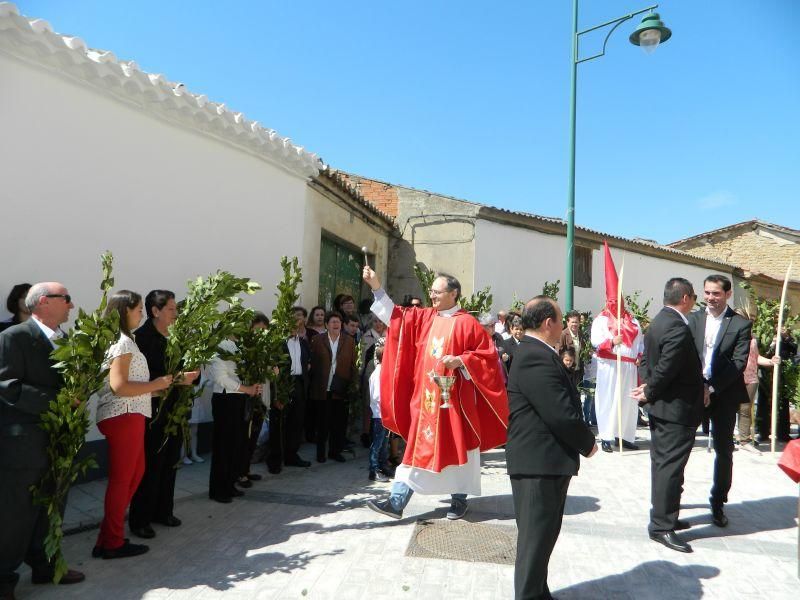 Procesión de Domingo de Ramos en Villaralbo