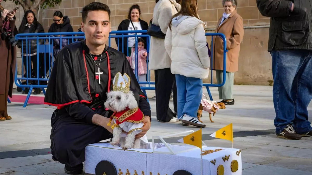 Del Papa León XIV a Marshall de la Patrulla Canina: los disfraces más originales del Concurso de Mascotas