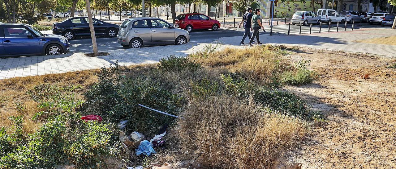 Maleza y restos de cristales rotos en una de las parcelas sin vallar.