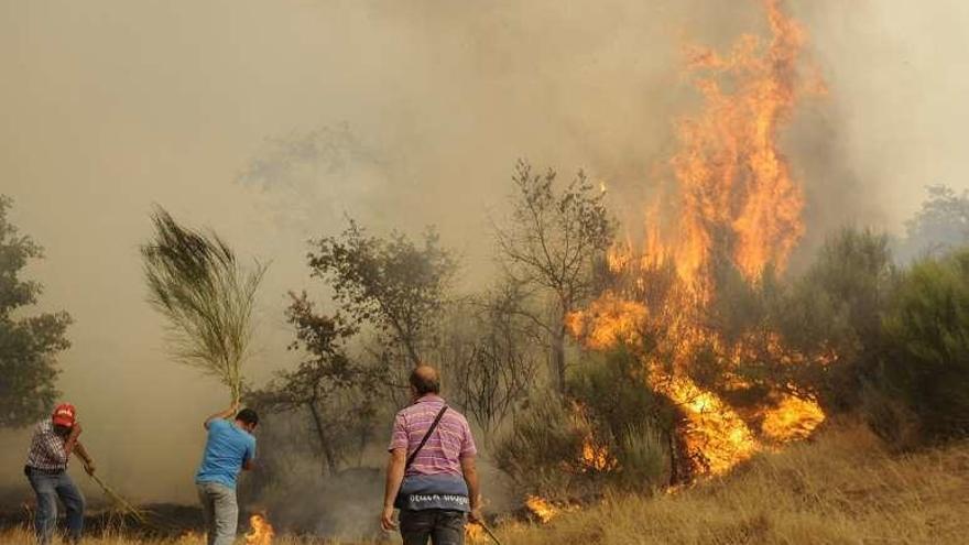 Incendio registrado el pasado verano en Cualedro. // Jesús Regal