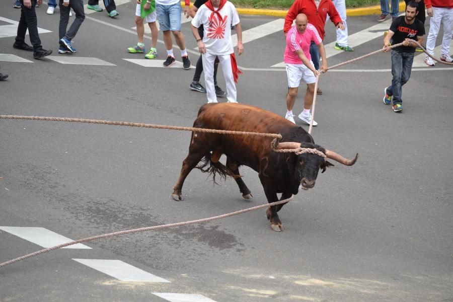 Enmaromado 2016: Lechugazo da la talla