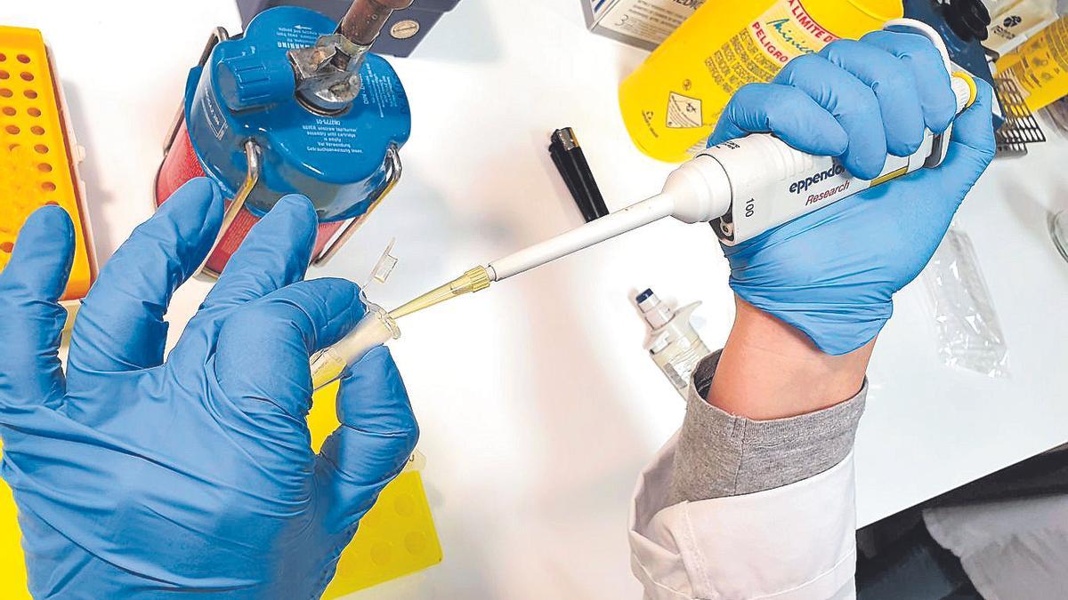 Un investigador, en un laboratorio del Sergas.