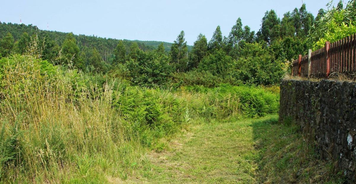 Masa forestal cercana a una vivienda de la parroquia compostelana de Figueiras, que sufrió su último gran incendio en marzo de 2021