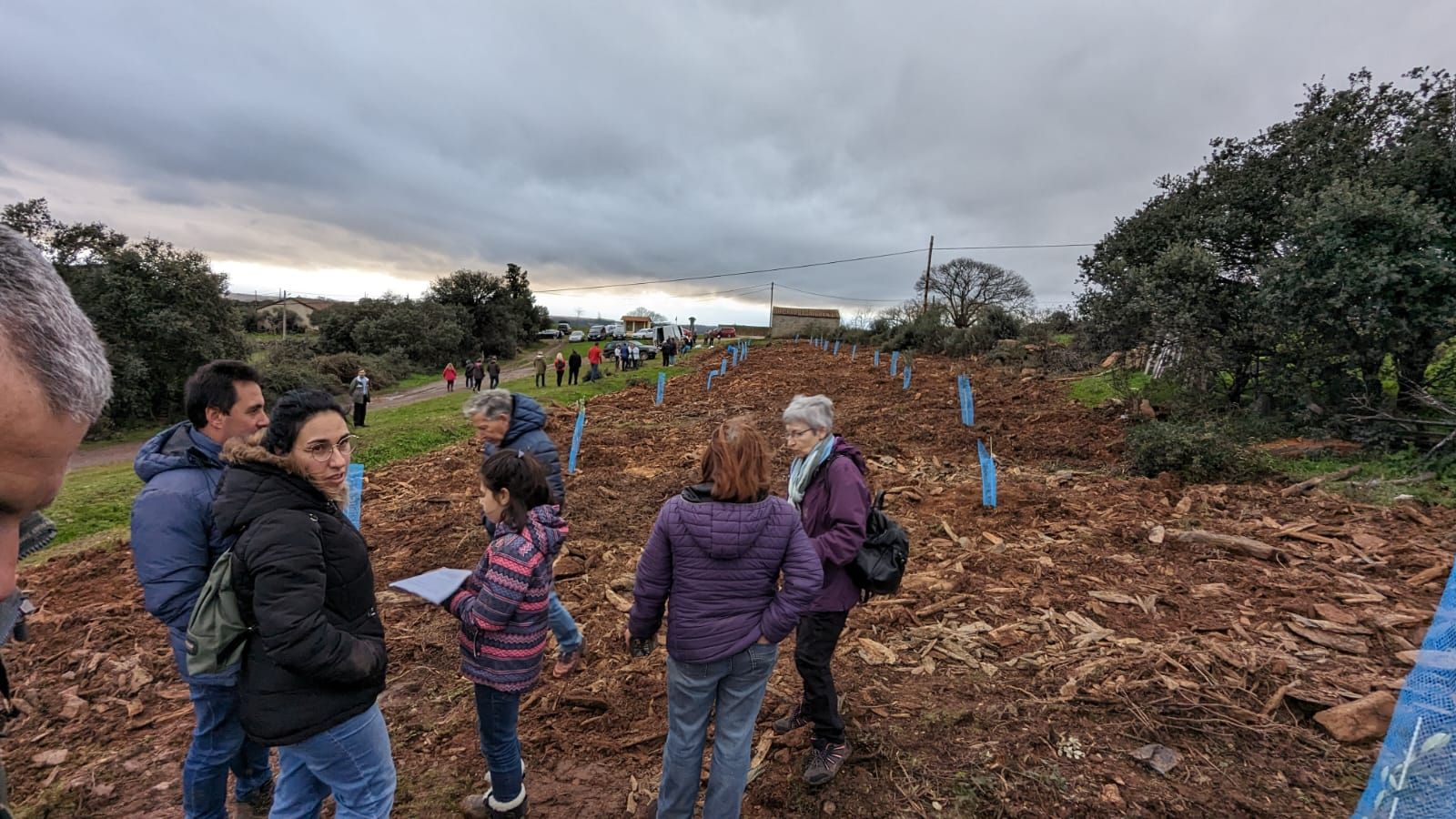 GALERÍA | Un jardín de 20 especies de olivos en Aliste