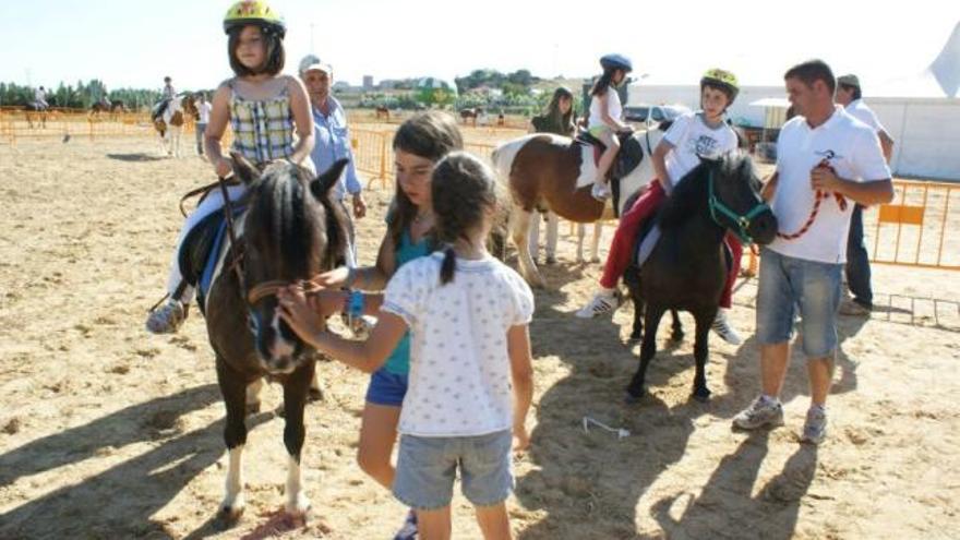 Los niños han tenido ocasión de entrar en contacto con el mundo de la hípica.