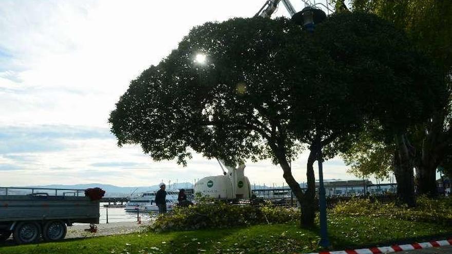 Varios operarios podando, ayer, en los jardines de Cangas. // G.N.