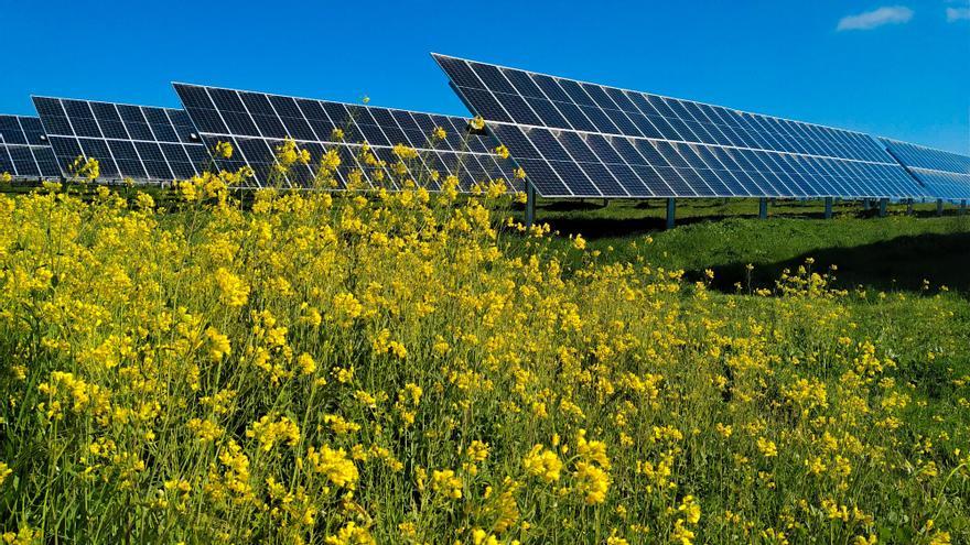 Soltec impulsa en Murcia el compromiso solar medioambiental más decidido