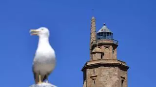 De la Torre de Hércules al Monte de San Pedro: estos son los 46 sitios de A Coruña recomendados por el Concello para ver el eclipse del 12 de agosto