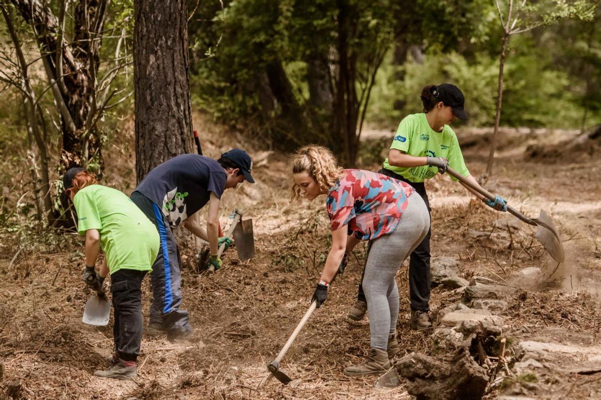 Niños en un campamento.