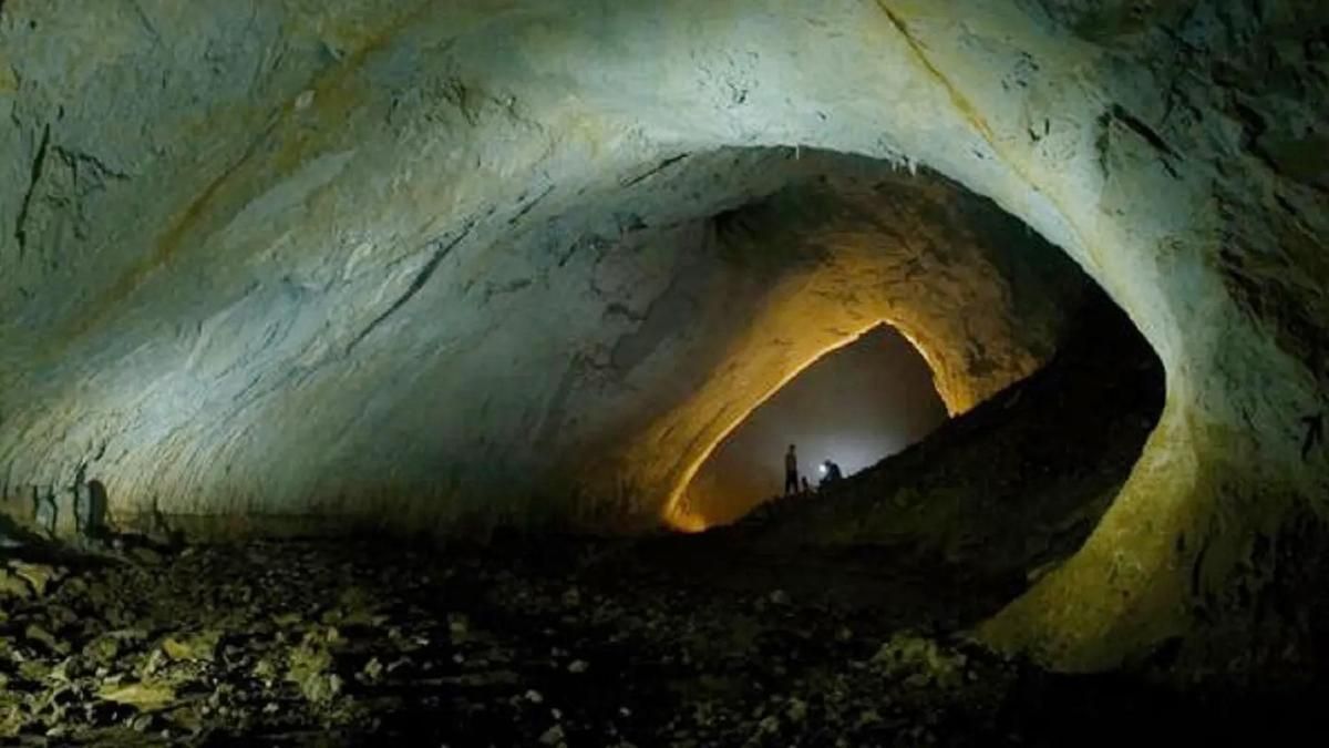 Las criaturas descubiertas al abrir una cueva sellada durante 5 millones de años.