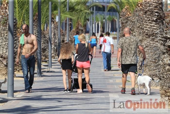 Primer día de paseos al aire libre en Mazarrón