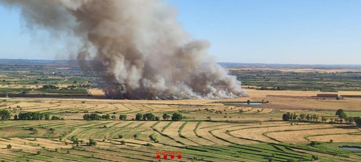 La meitat de les comarques de Catalunya, en risc d’incendi