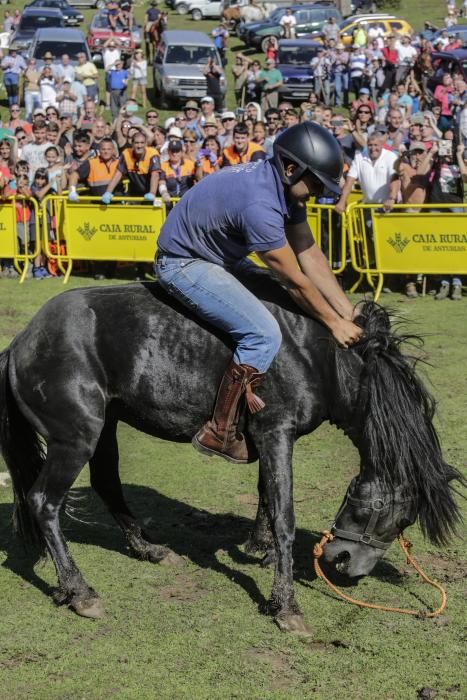 Fiesta del Asturcón en el Sueve