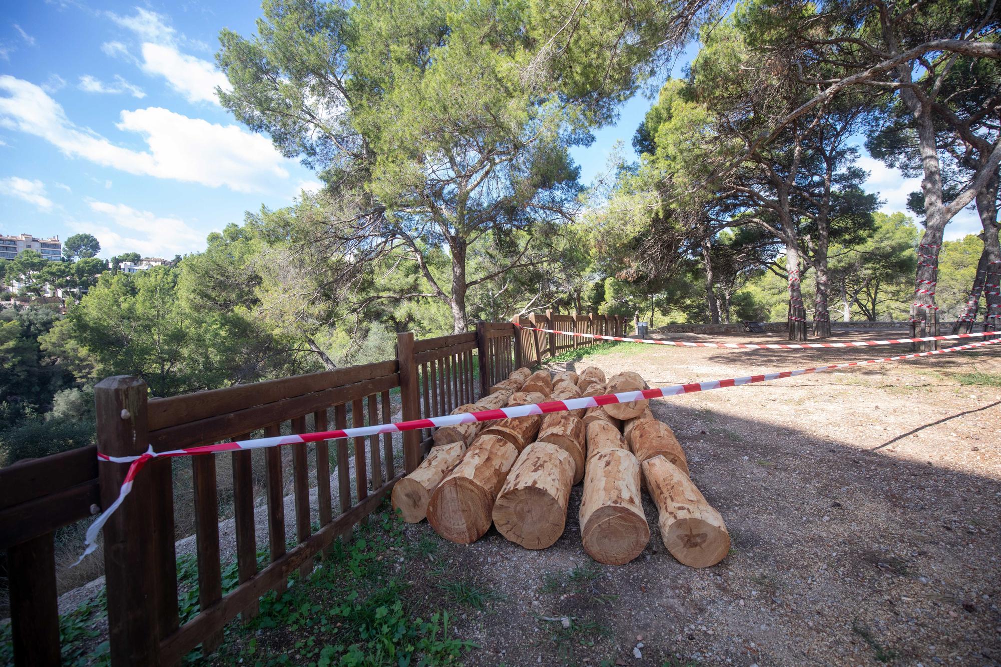 Palmario | Exigen parar el parque de ocio de Bellver