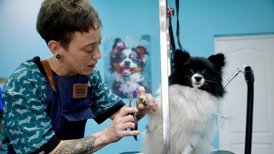 La historia de la nueva peluquería canina de La Corredoria: lista de espera de más de una semana tras un cambio de vida radical
