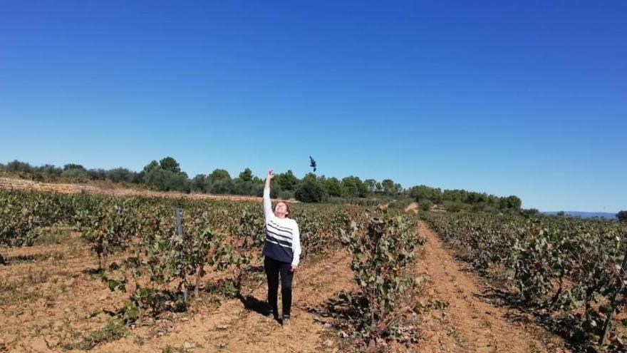 Una mujer agricultora en un viñedo de Valencia