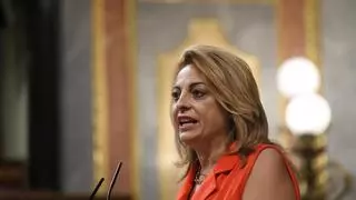 El Congreso aprueba el uso del REF para construir o comprar viviendas para alquiler