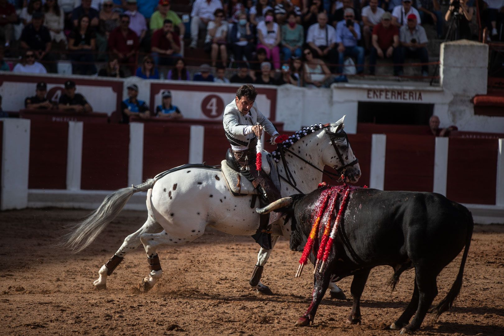 GALERÍA | La corrida de rejones de Zamora, en imágenes