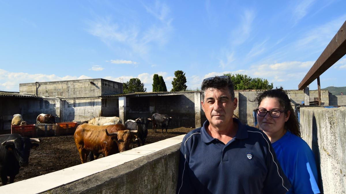 Peris y Machancoses, dos ganaderías de bous al carrer que resisten la falta de festejos