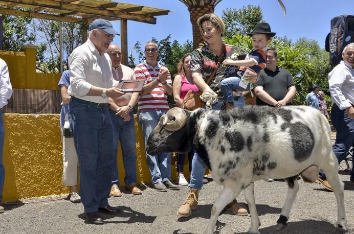 ARUCAS GRAN CANARIA A 28/05/2017 Entrega de premios concurso de ganado del Cabildo de Gran Canaria. FOTO: J.PÉREZ CURBELO