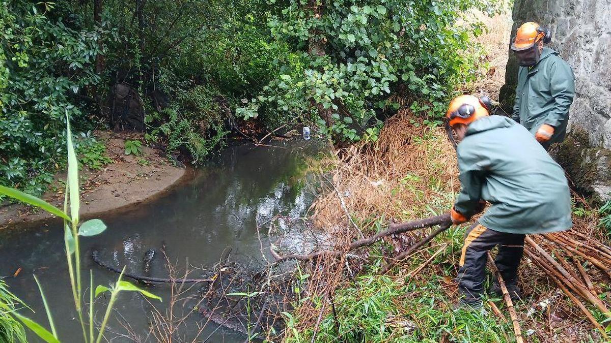 Operarios de Augas retiran ramas caídas sobre un lecho,.