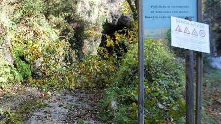 Un túnel cerrado por vegetación.