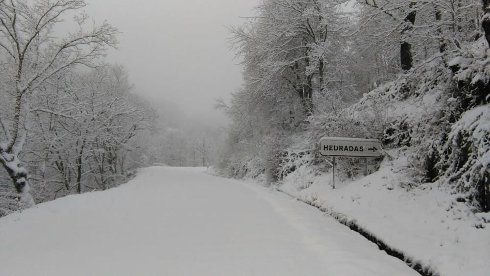 La nieve cubre la comarca sanabresa